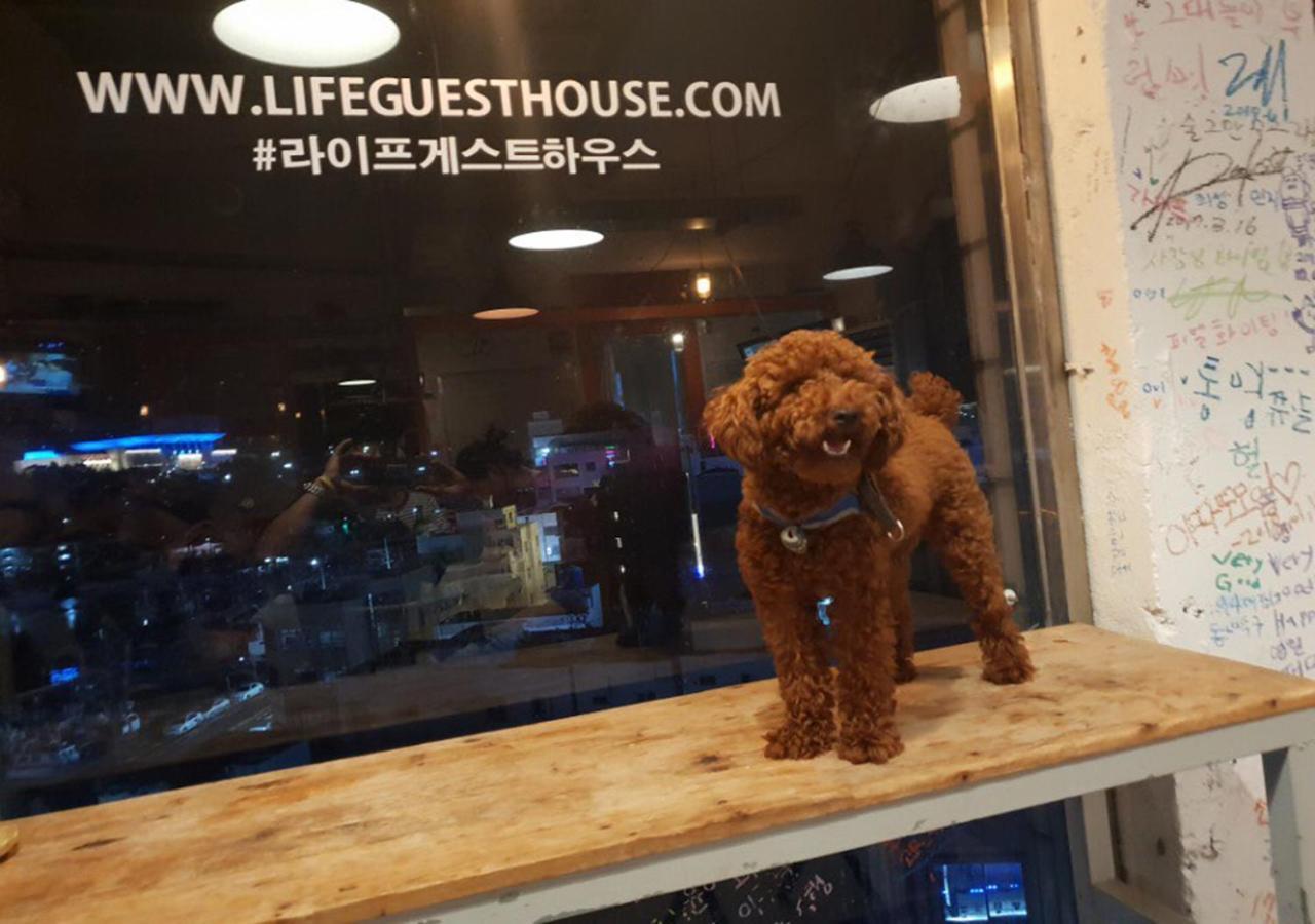 Lifeguesthouse Tongyeong Exterior foto